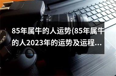 <h3>85年属牛的人运势(85年属牛的人2025年的运势及运程)
