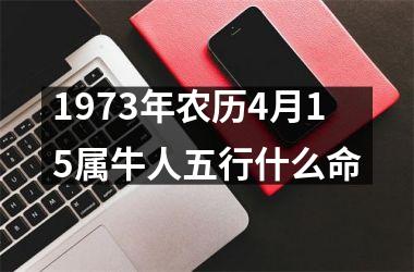 1973年农历4月15属牛人五行什么命