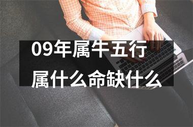 <h3>09年属牛五行属什么命缺什么