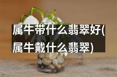 属牛带什么翡翠好(属牛戴什么翡翠)