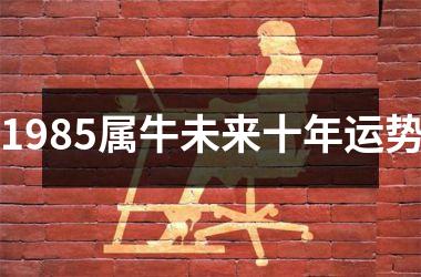 <h3>1985属牛未来十年运势