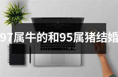 <h3>97属牛的和95属猪结婚