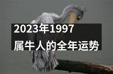 <h3>2025年1997属牛人的全年运势