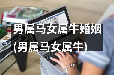 <h3>男属马女属牛婚姻(男属马女属牛)