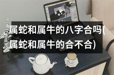<h3>属蛇和属牛的八字合吗(属蛇和属牛的合不合)
