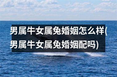 <h3>男属牛女属兔婚姻怎么样(男属牛女属兔婚姻配吗)