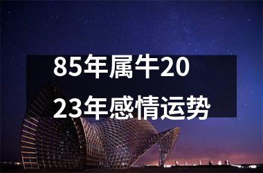 <h3>85年属牛2025年感情运势