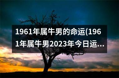 <h3>1961年属牛男的命运(1961年属牛男2025年今日运城)