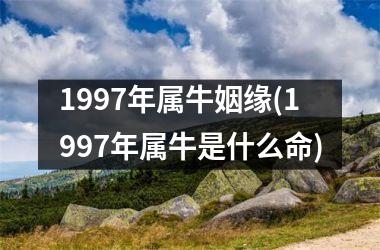 <h3>1997年属牛姻缘(1997年属牛是什么命)