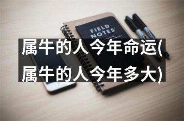 <h3>属牛的人今年命运(属牛的人今年多大)
