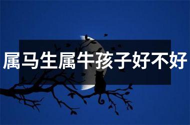 <h3>属马生属牛孩子好不好