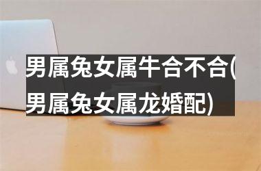 <h3>男属兔女属牛合不合(男属兔女属龙婚配)