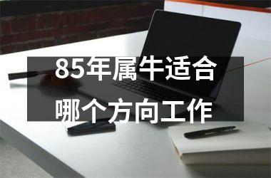 <h3>85年属牛适合哪个方向工作