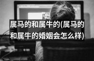 属马的和属牛的(属马的和属牛的婚姻会怎么样)