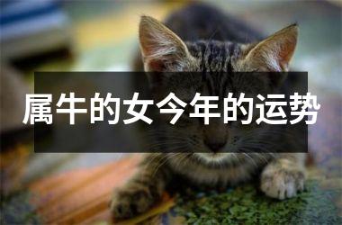 <h3>属牛的女今年的运势