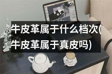 <h3>牛皮革属于什么档次(牛皮革属于真皮吗)