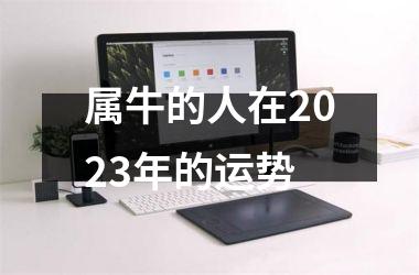 属牛的人在2025年的运势