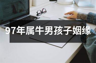 <h3>97年属牛男孩子姻缘