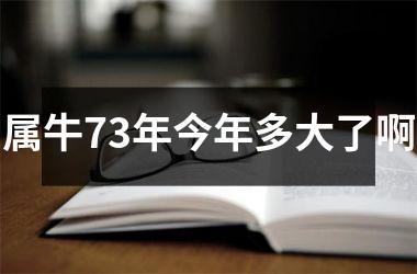 <h3>属牛73年今年多大了啊