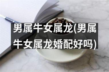 <h3>男属牛女属龙(男属牛女属龙婚配好吗)