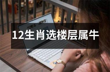 <h3>12生肖选楼层属牛