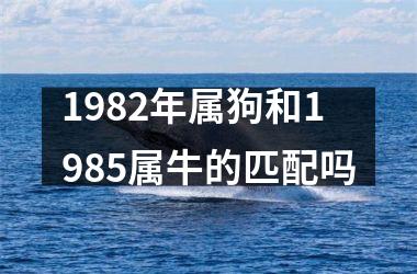 <h3>1982年属狗和1985属牛的匹配吗