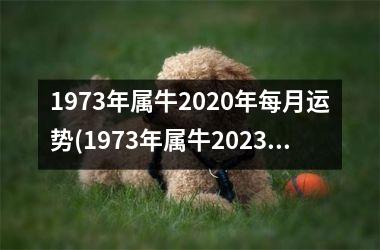 <h3>1973年属牛2025年每月运势(1973年属牛2025年运势及运程每月运程)