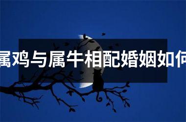 <h3>属鸡与属牛相配婚姻如何