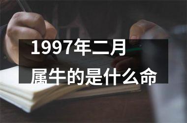 <h3>1997年二月属牛的是什么命