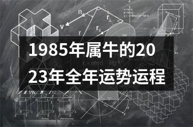 1985年属牛的2025年全年运势运程