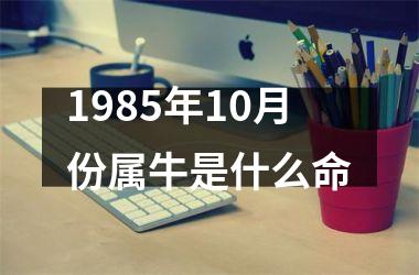 <h3>1985年10月份属牛是什么命