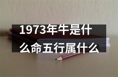 <h3>1973年牛是什么命五行属什么