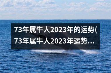 73年属牛人2025年的运势(73年属牛人2025年运势运程每月运程详解)