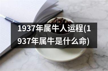 <h3>1937年属牛人运程(1937年属牛是什么命)