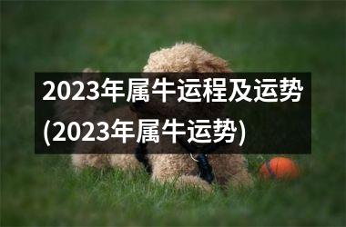 <h3>2025年属牛运程及运势(2025年属牛运势)