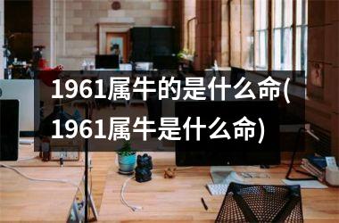<h3>1961属牛的是什么命(1961属牛是什么命)