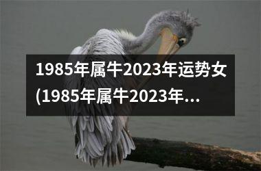 <h3>1985年属牛2025年运势女(1985年属牛2025年运势及运程)