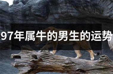 <h3>97年属牛的男生的运势