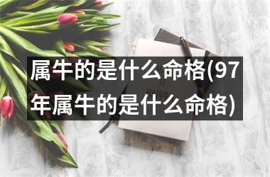 <h3>属牛的是什么命格(97年属牛的是什么命格)