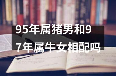 <h3>95年属猪男和97年属牛女相配吗