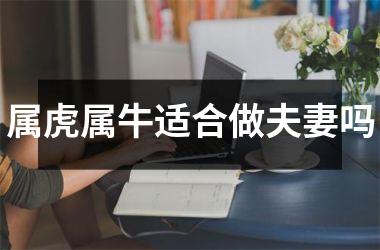<h3>属虎属牛适合做夫妻吗