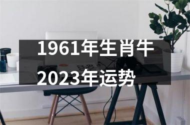 1961年生肖牛2025年运势