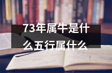 73年属牛是什么五行属什么