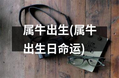 <h3>属牛出生(属牛出生日命运)