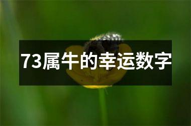 73属牛的幸运数字