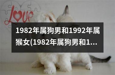 <h3>1982年属狗男和1992年属猴女(1982年属狗男和1985年属牛女)