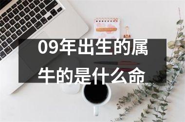 09年出生的属牛的是什么命