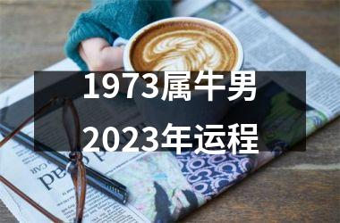 1973属牛男2023年运程