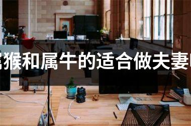 <h3>属猴和属牛的适合做夫妻吗