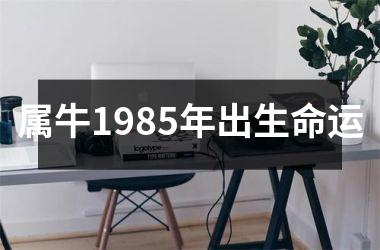 <h3>属牛1985年出生命运